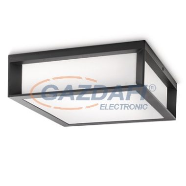 PHILIPS Skies 171849316 fali és mennyezeti lámpa, 2x14W 230V E27 810Lm, antracit