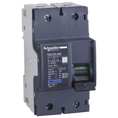 SCHNEIDER 18875 Acti9 NG125L circuit breaker, 2P, MA, 63A