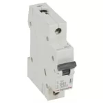 LEGRAND 419140 RX3 kismegszakító 1P B40 6000A BIC