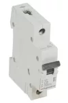 LEGRAND 419199 RX3 kismegszakító 1P C6 6000A BIC