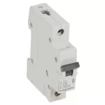 LEGRAND 419199 RX3 kismegszakító 1P C6 6000A BIC