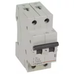 LEGRAND 419223 RX3 kismegszakító 2P C13 6000A BIC