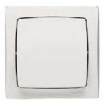   LEGRAND 696003 Oteo wall-mounted bipolar switch with frame, white