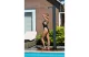 UBBINK Solaris Luxe Kerti Zuhany UBBINK Solaris Luxe Kerti Zuhany