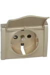 LEGRAND 771422 Galea Life 2P + F cover with flap in titanium
