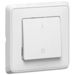LEGRAND 773802 Cariva with two-pole switch frame, white