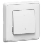 LEGRAND 773802 Cariva with two-pole switch frame, white