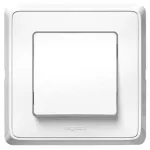 LEGRAND 773811 Cariva with single pole pressure frame, white