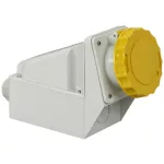 SCHNEIDER 81177 PK socket 63A, 5P, 130V, IP67