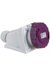 SCHNEIDER 82166 PK socket 32A 3P, 20 ... 25 V AC - IP67 SCHNEIDER 82166 PK socket 32A 3P, 20 ... 25 V AC - IP67