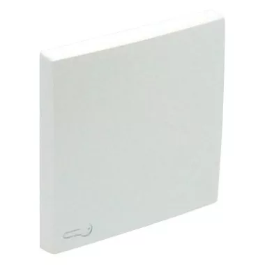 Efapel 90604_TGE Egyes billentyű kulcs jellel, jég