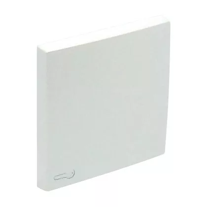 Efapel 90604_TGE Egyes billentyű kulcs jellel, jég