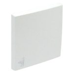 Efapel 90606 TGE Billentyű, pincér jellel, jég