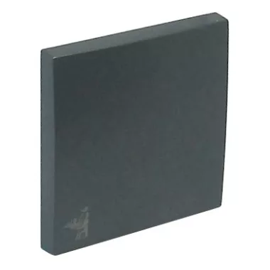 Efapel 90606_TIS Billentyű, pincér jellel, szürke