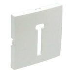   efapel 90718_TGE Fedlap T8 francia telefon csatlakozóaljzathoz jég