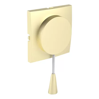 Efapel 90741_TDU  Fedlap húzókapcsolóhoz arany