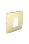 Efapel 90751_TDU Fedlap RJ 45-ös csatlakozóhoz, arany Efapel 90751_TDU Fedlap RJ 45-ös csatlakozóhoz, arany