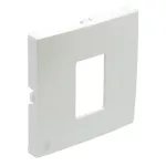 Efapel 90751_TGE Fedlap RJ 45-ös csatlakozóhoz, jég