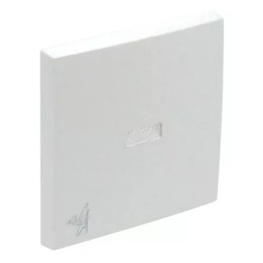 Efapel 90796 TGE Egyes billentyű jelzőfényes pincér jellel jég