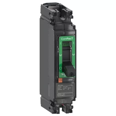 SCHNEIDER C25N1TM200 ÚJ GENNSX 250N 200A 1P 25kAAC @220/240V