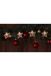 TRACON CHRSTSTW10WW LED karácsonyi lánc, csillag,szarvas, fa, elemes (X22052) Timer 6+18h, 10LED, 3000K, 2xAA