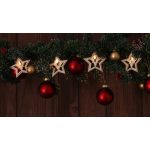   TRACON CHRSTSTW10WW LED karácsonyi lánc, csillag,szarvas, fa, elemes (X22052) Timer 6+18h, 10LED, 3000K, 2xAA