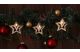 TRACON CHRSTSTW10WW LED karácsonyi lánc, csillag,szarvas, fa, elemes (X22052) Timer 6+18h, 10LED, 3000K, 2xAA