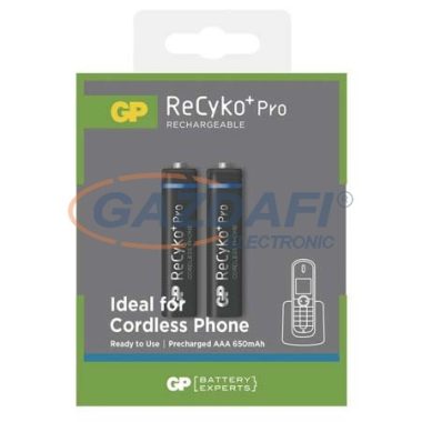 GP B0816 ELEM REC. PRO DECT HR03 2PB (B0816)