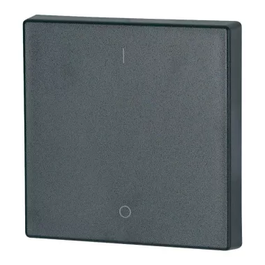EATON 147592 RF gombburkolat 55x55mm 1-0, antracit, matt EATON 147592 RF gombburkolat 55x55mm 1-0, antracit, matt