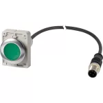 EATON 185988 Pushbutton, Flat, momentary, 1 N/O, Cable (black) with M12A plug, 4 pole, 1 m, green, Blank, Metal bezel