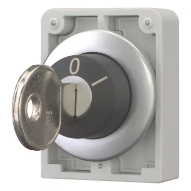 EATON 187049 Key-operated actuator, Flat Front, maintained, 2 positions, MS1–MS20, Key withdrawable: 0, Metal bezel