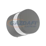 EGLO 97301 Kültéri LED fali/mennyezet 1x11 ezüst Melzo