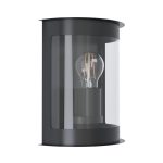   EGLO 98718 kültéri fali lámpa E27 1x28W IP44 fekete/átlátszó Daril
