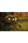 ELMARK 98SOL23439 SOLAR LED STRING LIGHT 23439 0.6W 8PCS. 2000K IP71