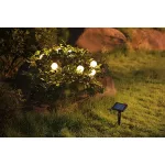   ELMARK 98SOL23439 SOLAR LED STRING LIGHT 23439 0.6W 8PCS. 2000K IP71