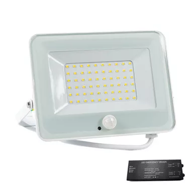 ELMARK 98VEGA50SWW/WHE VEGA50 SLIM 50W LED fényvet szenzorral 3000K fehér vészvilágító modullal