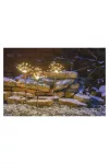EMOS DCZW07 LED dekoráció – leszúrható világító fürtök, 65cm, kül/beltéri, meleg fehér, időzítő,  3,6 W, 230 V AC, IP44