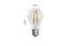 Emos ZF5158.3  LED izzó Filament A CLASS A60 / E27 / 5 W (75 W) / 1 060 lm / természetes fehér