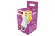 EMOS ZQ7E41 LED izzó Classic R63 / E27 / 7 W (60 W) / 806 lm / Meleg fehér - 5 EMOS ZQ7E41 LED izzó Classic R63 / E27 / 7 W (60 W) / 806 lm / Meleg fehér - 5