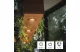 EMOS ZQ8E12.3 LED fényforrás CLS MR16 3W(32W) 345lm GU10 WW 3PC
