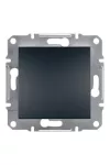 SCHNEIDER EPH0200171 ASFORA Bipolar switch, spring-cage connection, anthracite (102)