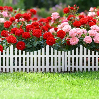   GARDEN OF EDEN 11468 Virágágyás szegély / kerítés - 60 x 23 cm - műanyag