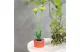 GARDEN OF EDEN 11735C Szolár színes virág - 8 x 8 x 32 cm - 10 melegfehér LED - sárga GARDEN OF EDEN 11735C Szolár színes virág - 8 x 8 x 32 cm - 10 melegfehér LED - sárga