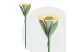 GARDEN OF EDEN 11754 Leszúrható szolár virág - 3 szín - 30 x 10 cm - fehér LED GARDEN OF EDEN 11754 Leszúrható szolár virág - 3 szín - 30 x 10 cm - fehér LED