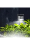 GARDEN OF EDEN 11783 Szolár lámpa - fali - 10 x 5 x 8 cm - 4 fehér SMD LED GARDEN OF EDEN 11783 Szolár lámpa - fali - 10 x 5 x 8 cm - 4 fehér SMD LED
