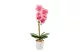 GLOBIZ 11901A Műnövény dekoráció - orchidea - rózsaszín - 48 cm GLOBIZ 11901A Műnövény dekoráció - orchidea - rózsaszín - 48 cm