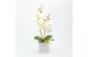 GLOBIZ 11902 Műnövény dekoráció - orchidea - 3 féle - 37 cm GLOBIZ 11902 Műnövény dekoráció - orchidea - 3 féle - 37 cm