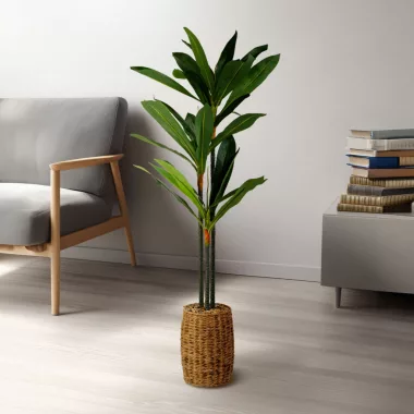 GLOBIZ 11906 Műnövény dekoráció - Dracaena Fragrans - 1,1-1,2 m