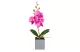 GLOBIZ 11914 Műnövény dekoráció - orchidea - 3 féle - 29,5 cm GLOBIZ 11914 Műnövény dekoráció - orchidea - 3 féle - 29,5 cm