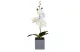 GLOBIZ 11914 Műnövény dekoráció - orchidea - 3 féle - 29,5 cm GLOBIZ 11914 Műnövény dekoráció - orchidea - 3 féle - 29,5 cm